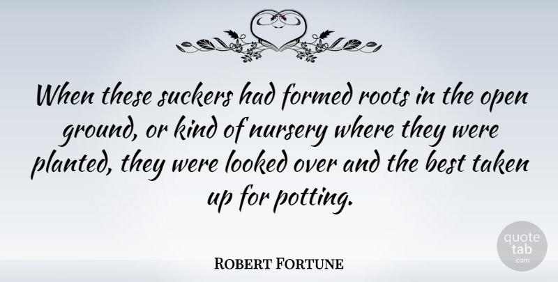 Robert Fortune Quote About Best, Formed, Looked, Nursery, Taken: When These Suckers Had Formed...