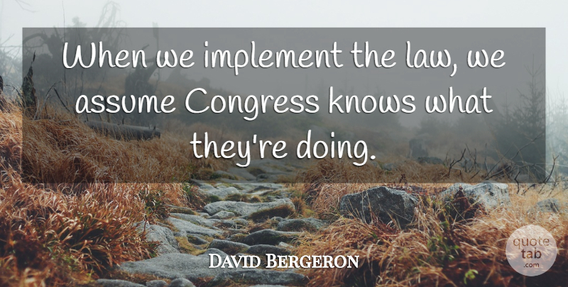 David Bergeron Quote About Assume, Congress, Implement, Knows: When We Implement The Law...