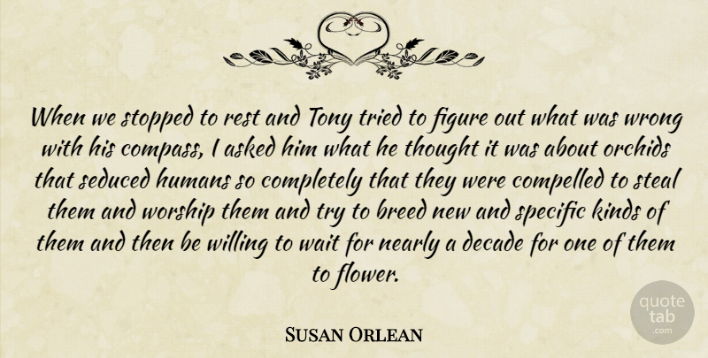 Susan Orlean Quote About Flower, Orchids, Waiting: When We Stopped To Rest...