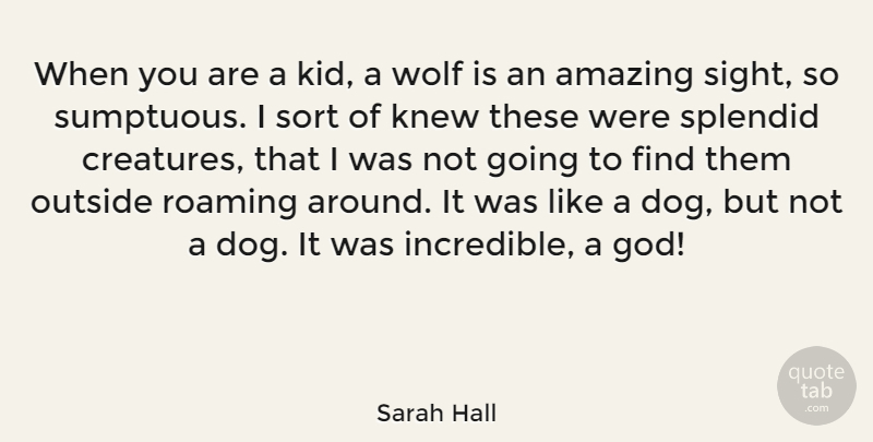 Sarah Hall Quote About Amazing, God, Knew, Outside, Roaming: When You Are A Kid...