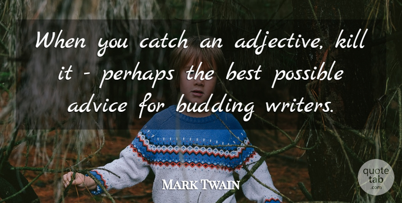 Mark Twain Quote About Advice, Adjectives: When You Catch An Adjective...