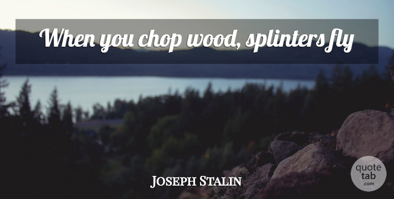 Joseph Stalin Quote About Splinters, Woods: When You Chop Wood Splinters...