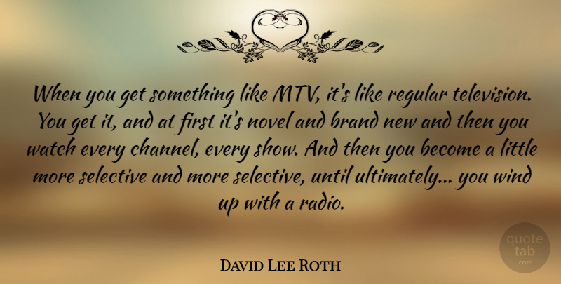 David Lee Roth Quote About Wind, Mtv, Television: When You Get Something Like...