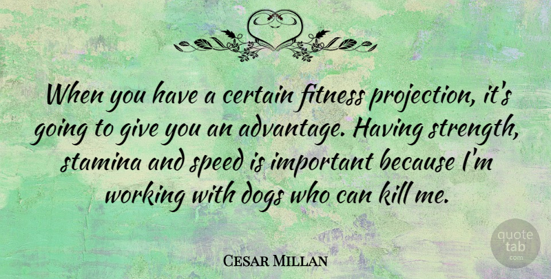 Cesar Millan Quote About Dog, Giving, Important: When You Have A Certain...