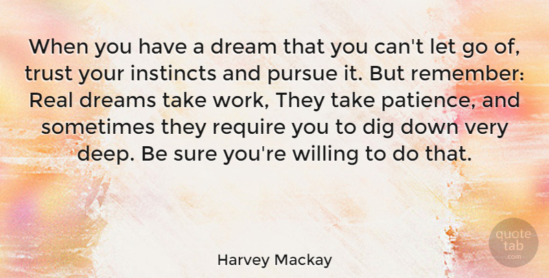Harvey Mackay Quote About Letting Go, Dream, Real: When You Have A Dream...