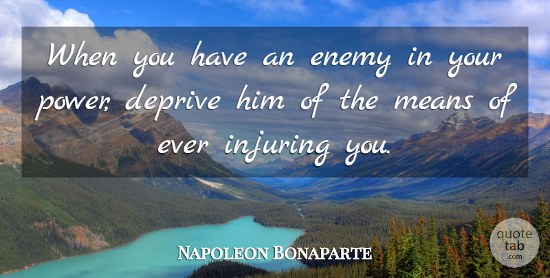 Napoleon Bonaparte Quote About Mean, Enemy: When You Have An Enemy...
