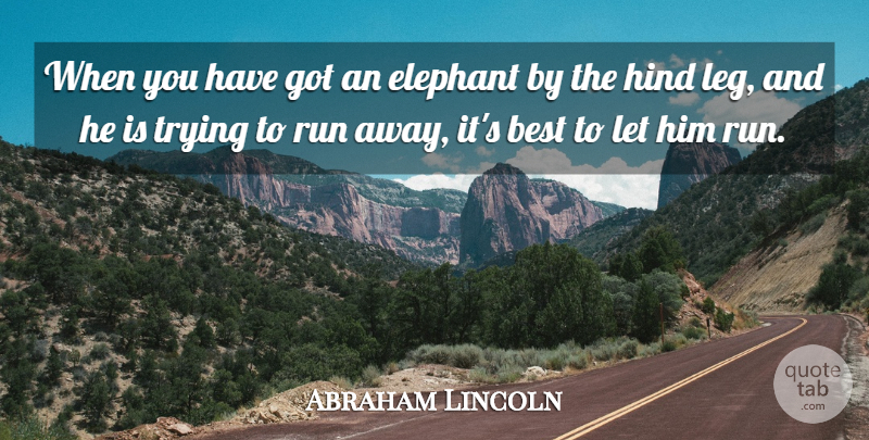 Abraham Lincoln Quote About Best, Determination, Elephant, Humorous, Run: When You Have Got An...