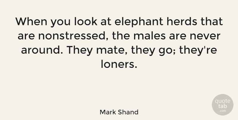 Mark Shand Quote About Males: When You Look At Elephant...