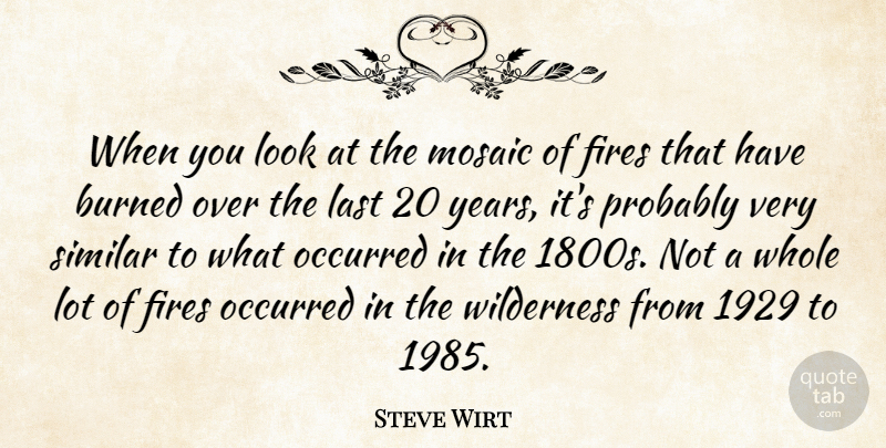 Steve Wirt Quote About Burned, Fires, Last, Mosaic, Occurred: When You Look At The...