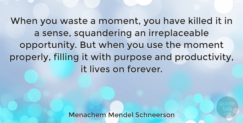 Menachem Mendel Schneerson Quote About Opportunity, Forever, Inspire: When You Waste A Moment...