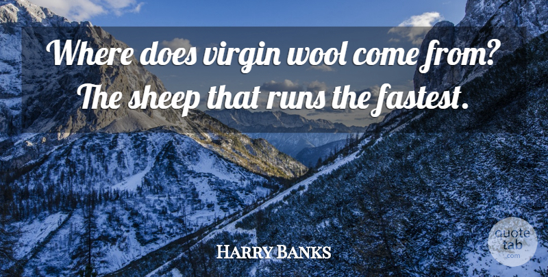 Harry Banks Quote About French Scientist, Runs, Sheep, Wool: Where Does Virgin Wool Come...