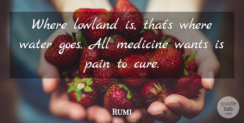 Rumi Quote About Life, Pain, Medicine: Where Lowland Is Thats Where...
