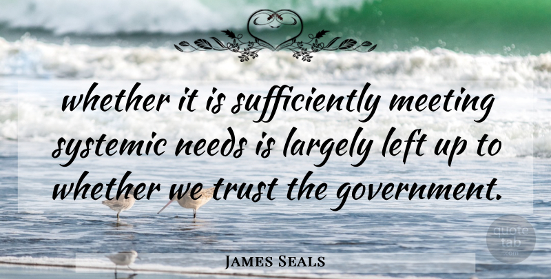 James Seals Quote About Government, Largely, Left, Meeting, Needs: Whether It Is Sufficiently Meeting...