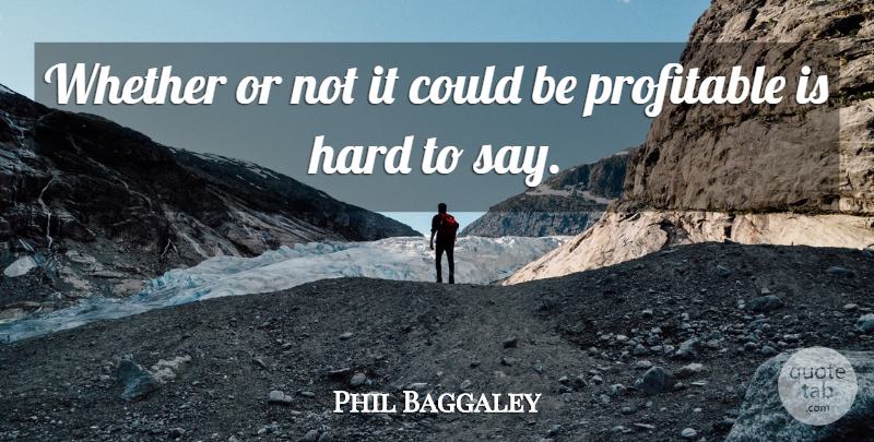 Phil Baggaley Quote About Hard, Profitable, Whether: Whether Or Not It Could...