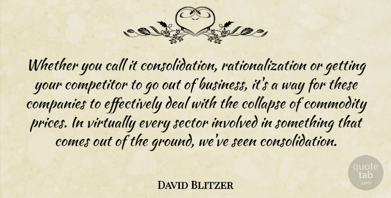 David Blitzer Quote About Call, Collapse, Commodity, Companies, Competitor: Whether You Call It Consolidation...