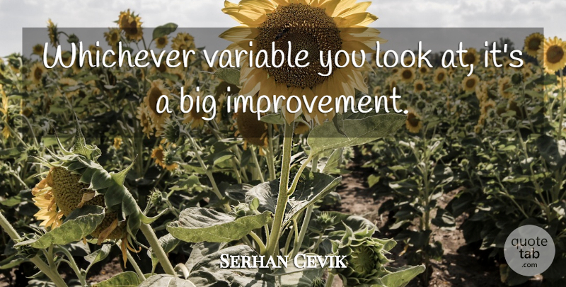 Serhan Cevik Quote About Improvement, Variable: Whichever Variable You Look At...