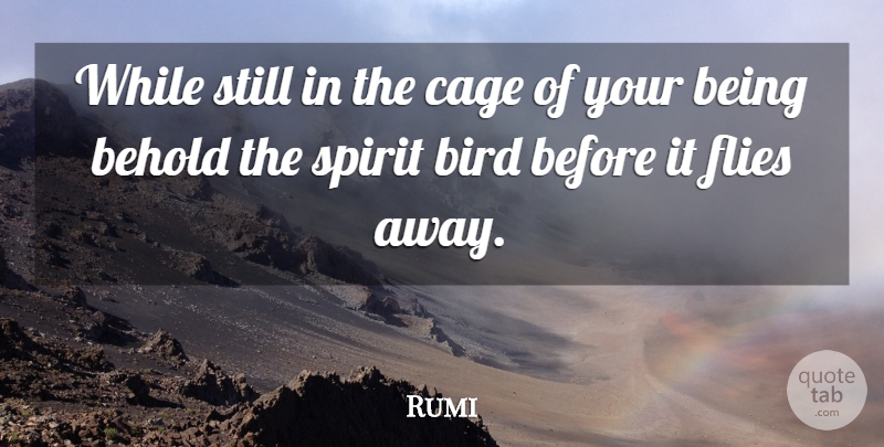 Rumi Quote About Bird, Cages, Spirit: While Still In The Cage...