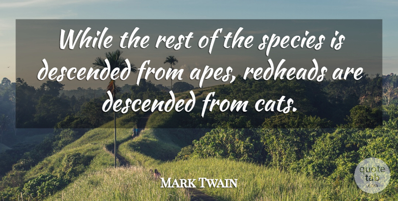 Mark Twain Quote About Cat, People, Apes: While The Rest Of The...