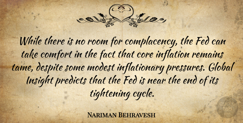 Nariman Behravesh Quote About Comfort, Core, Despite, Fact, Fed: While There Is No Room...