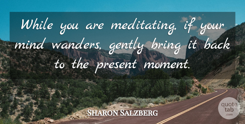Sharon Salzberg Quote About Mind, Moments, Wander: While You Are Meditating If...