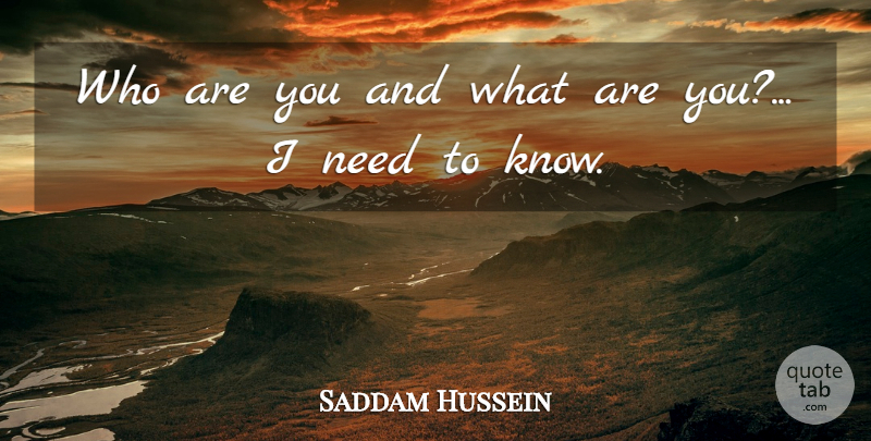 Saddam Hussein Quote About American Businessman: Who Are You And What...