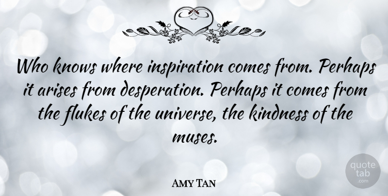 Amy Tan Quote About Kindness, Inspiration, Flukes: Who Knows Where Inspiration Comes...