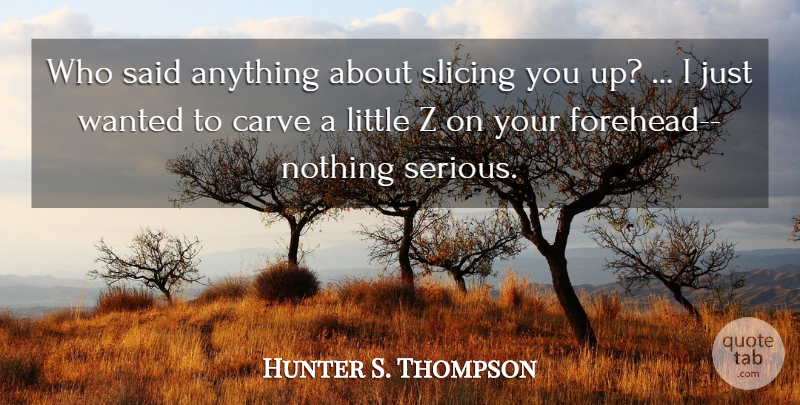 Hunter S. Thompson Quote About Fear And Loathing, Littles, Serious: Who Said Anything About Slicing...