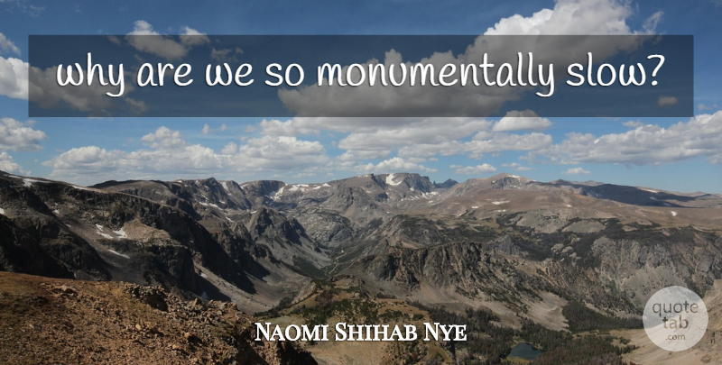 Naomi Shihab Nye Quote About undefined: Why Are We So Monumentally...