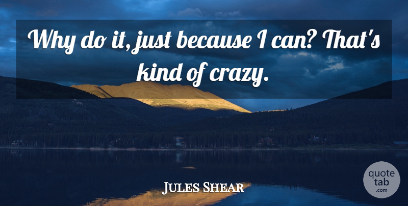 Jules Shear Quote About Crazy, Kind, Madness: Why Do It Just Because...