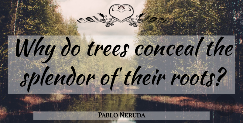 Pablo Neruda Quote About Roots, Tree, Splendor: Why Do Trees Conceal The...