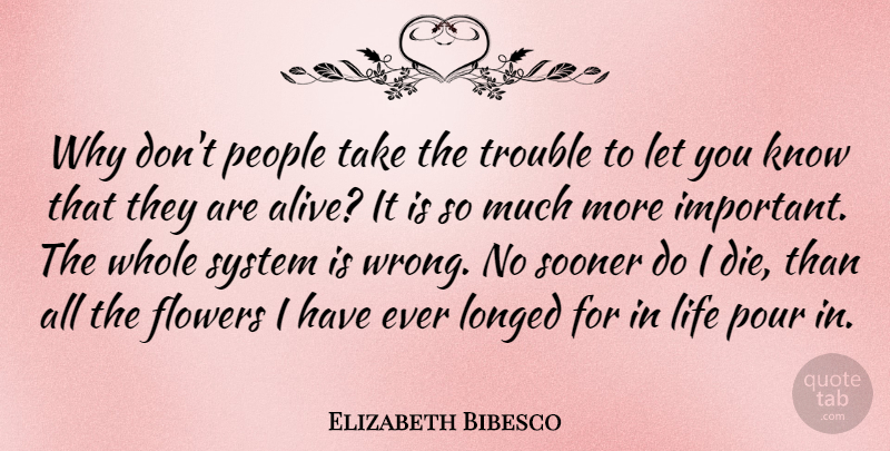 Elizabeth Bibesco Quote About Life, People, Pour, Sooner, System: Why Dont People Take The...