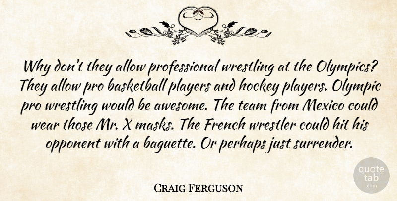 Craig Ferguson Quote About Funny, Basketball, Team: Why Dont They Allow Professional...