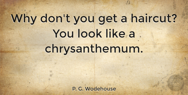 P. G. Wodehouse Quote About Sarcastic, Looks, Chrysanthemums: Why Dont You Get A...