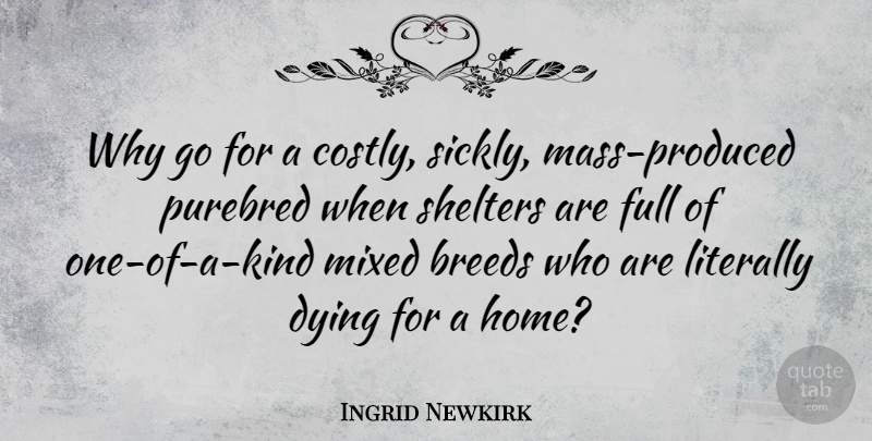 Ingrid Newkirk Quote About Home, Dying, Shelter: Why Go For A Costly...