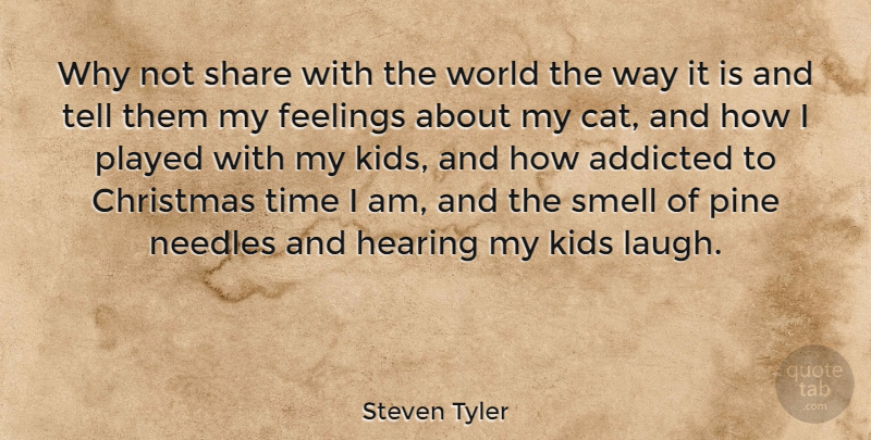 Steven Tyler Quote About Christmas, Holiday, Cat: Why Not Share With The...