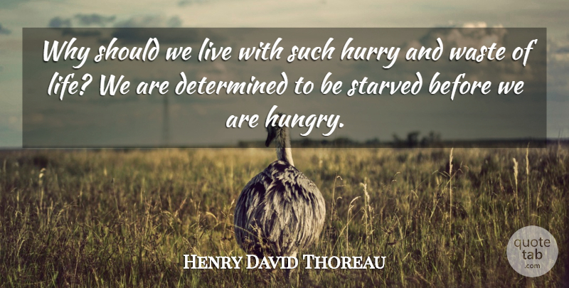 Henry David Thoreau Quote About Time, Waste, Determined: Why Should We Live With...