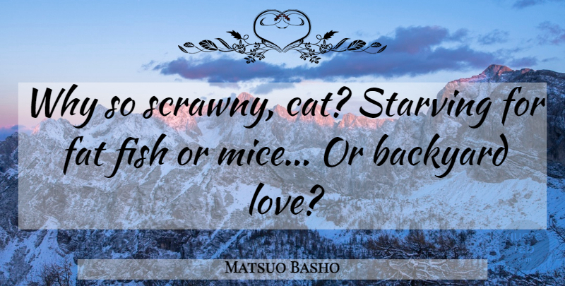 Matsuo Basho Quote About Cat, Backyards, Fats: Why So Scrawny Cat Starving...