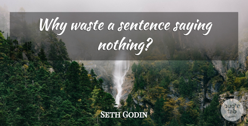Seth Godin Quote About Successful, Saying Nothing, Waste: Why Waste A Sentence Saying...