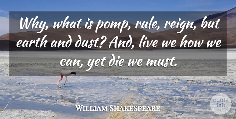 William Shakespeare Quote About Dust, Earth, Reign: Why What Is Pomp Rule...