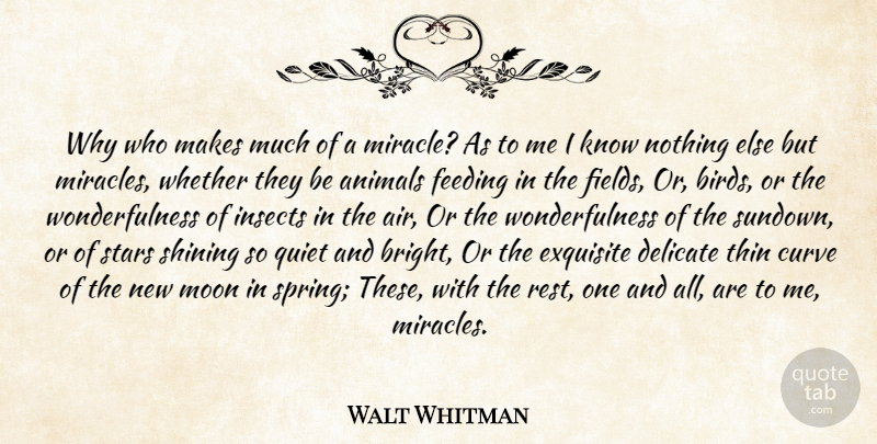 Walt Whitman Quote About Stars, Spring, Animal: Why Who Makes Much Of...