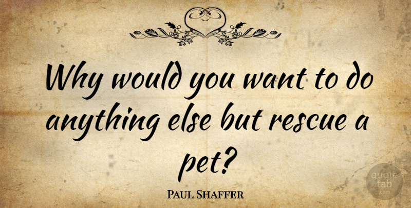 Paul Shaffer Quote About Pet, Want, Rescue: Why Would You Want To...