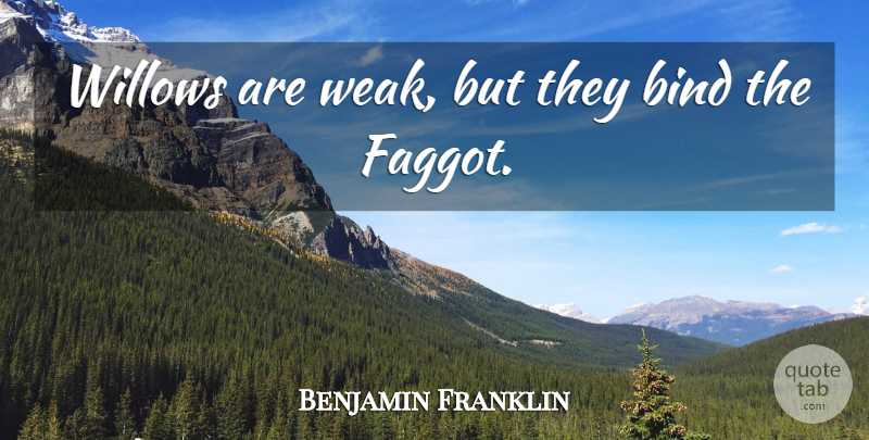 Benjamin Franklin Quote About Weak, Poor Richard: Willows Are Weak But They...