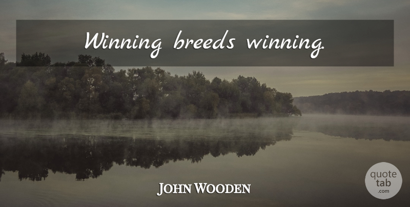 John Wooden Quote About Winning: Winning Breeds Winning...
