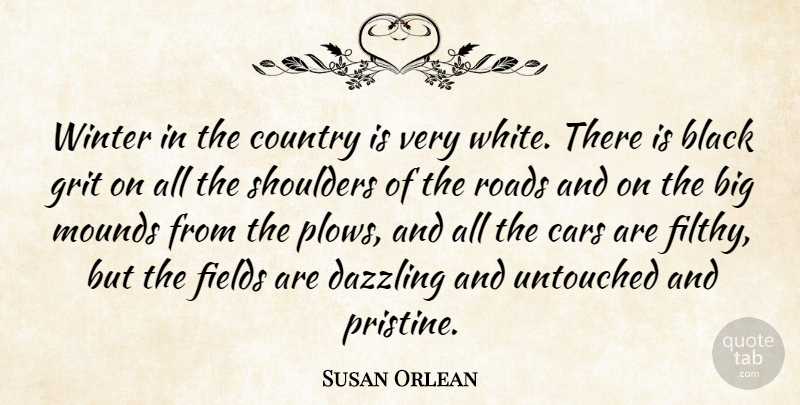 Susan Orlean Quote About Country, Winter, White: Winter In The Country Is...