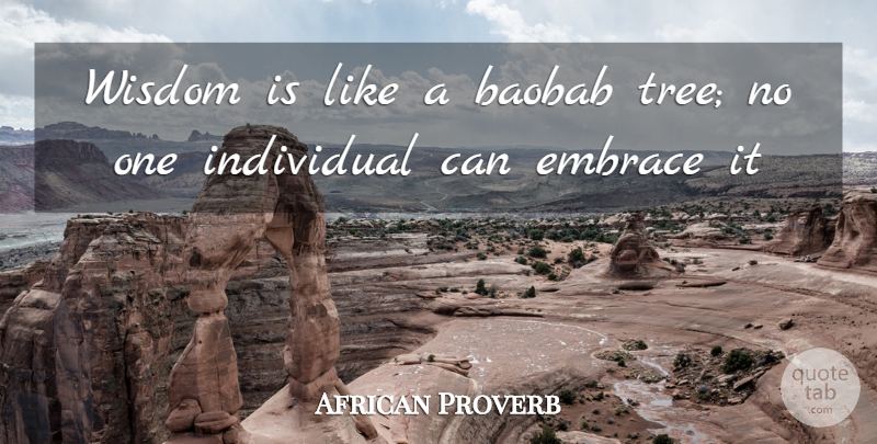David Lloyd George Quote About Tree, Individual, Embrace: Wisdom Is Like A Baobab...