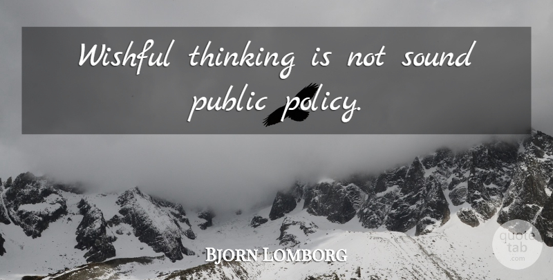Bjorn Lomborg Quote About Thinking, Sound, Policy: Wishful Thinking Is Not Sound...