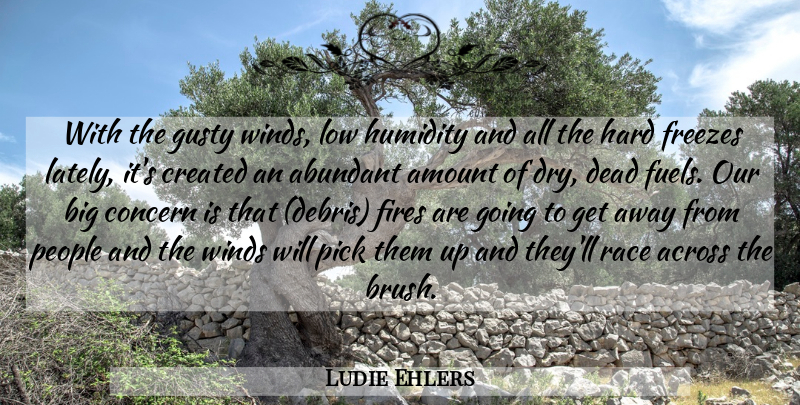 Ludie Ehlers Quote About Abundant, Across, Amount, Concern, Created: With The Gusty Winds Low...
