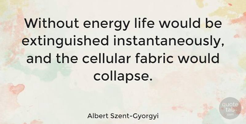 Albert Szent-Gyorgyi Quote About Would Be, Fabric, Energy: Without Energy Life Would Be...