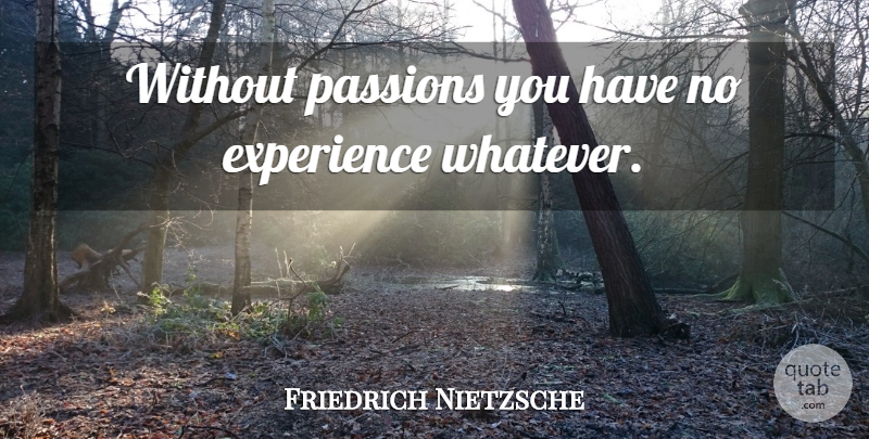 Friedrich Nietzsche Quote About Passion, Experience: Without Passions You Have No...