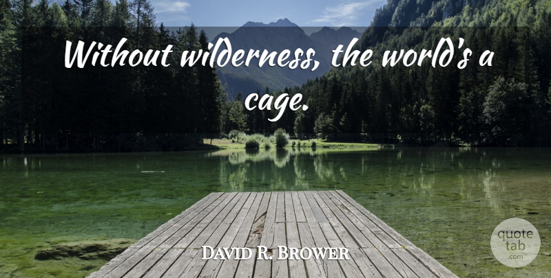 David R. Brower Quote About World, Cages, Wilderness: Without Wilderness The Worlds A...